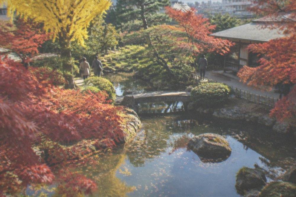 A traditional Japanese garden with a pond, moss and red maple leaves in late autumn light