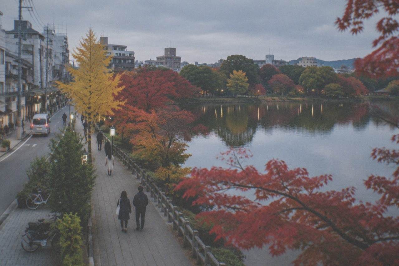 Maple trees with red and orange leaves reflected in the water of a city park lake at dusk
