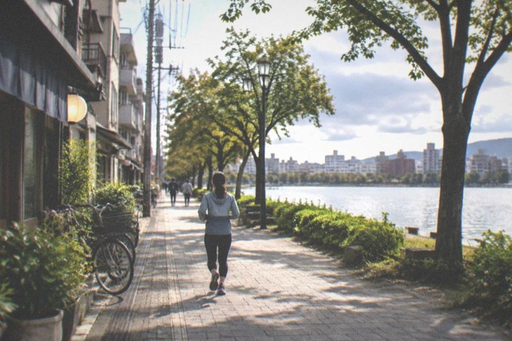 Tree-lined park path beside a calm lake with a city skyline behind