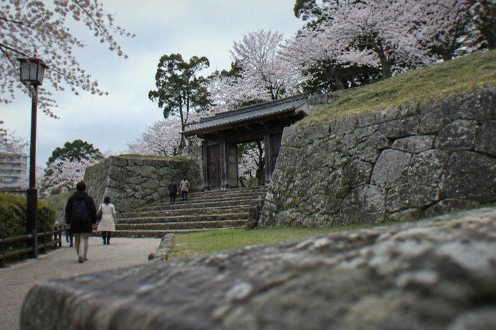 Stone castle walls with cherry trees in bloom on the slopes above
