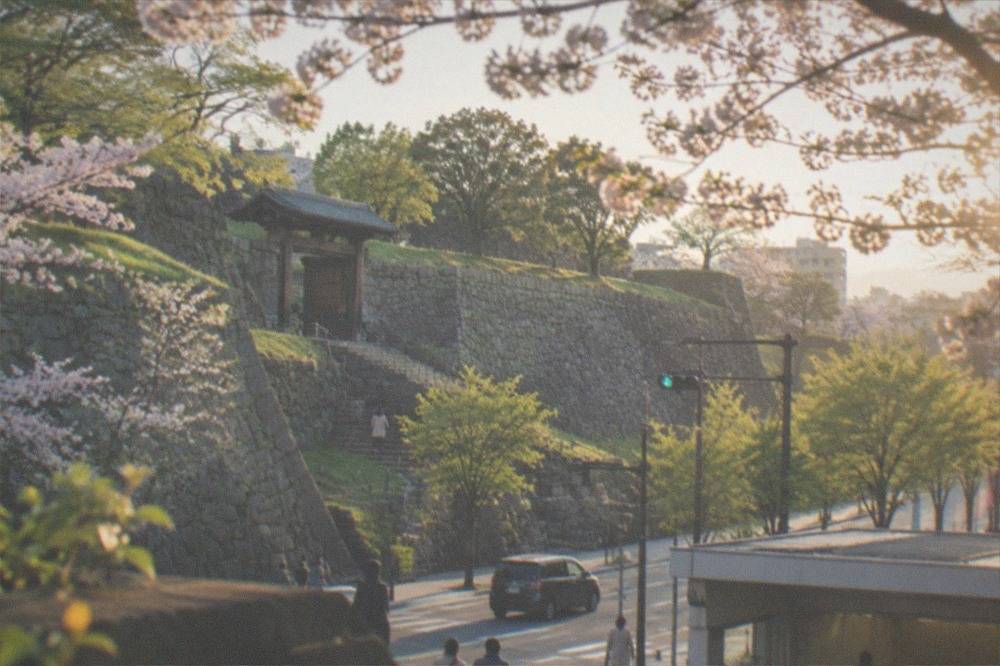 Cherry blossom branches framing a modern city street with a subway entrance