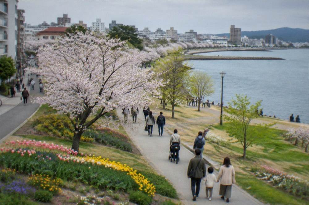 Families walking through a wide seaside park with spring flower beds