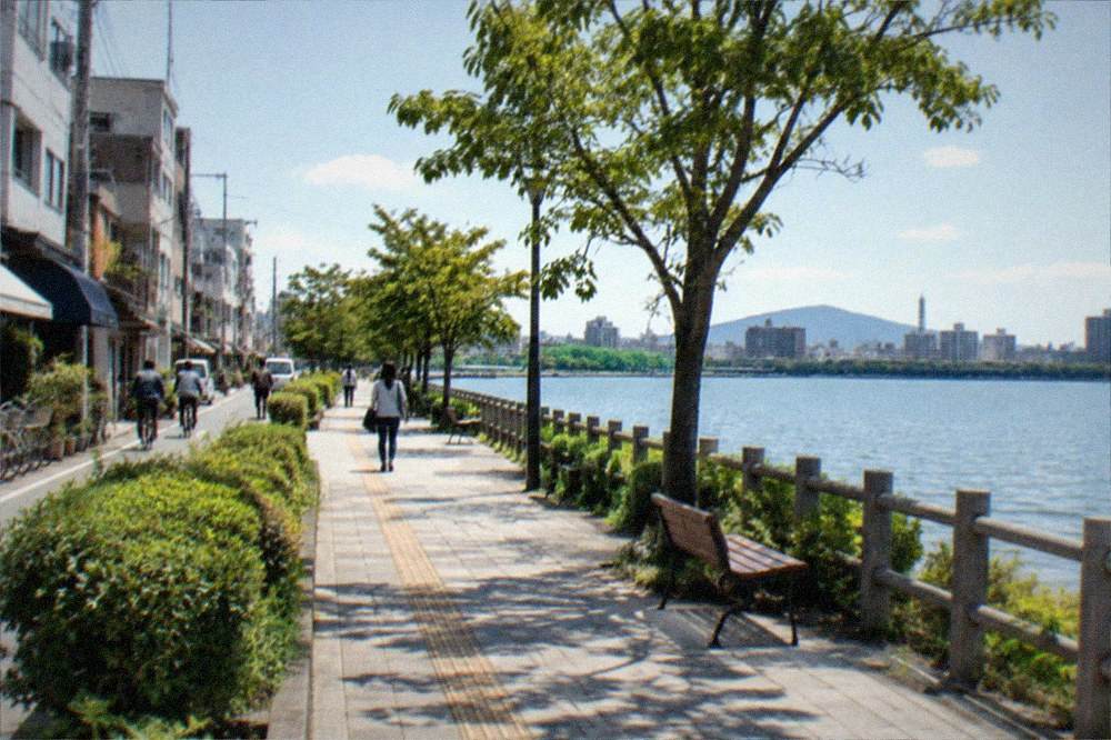 A lakeside walking path with park greenery and a city skyline beyond the water