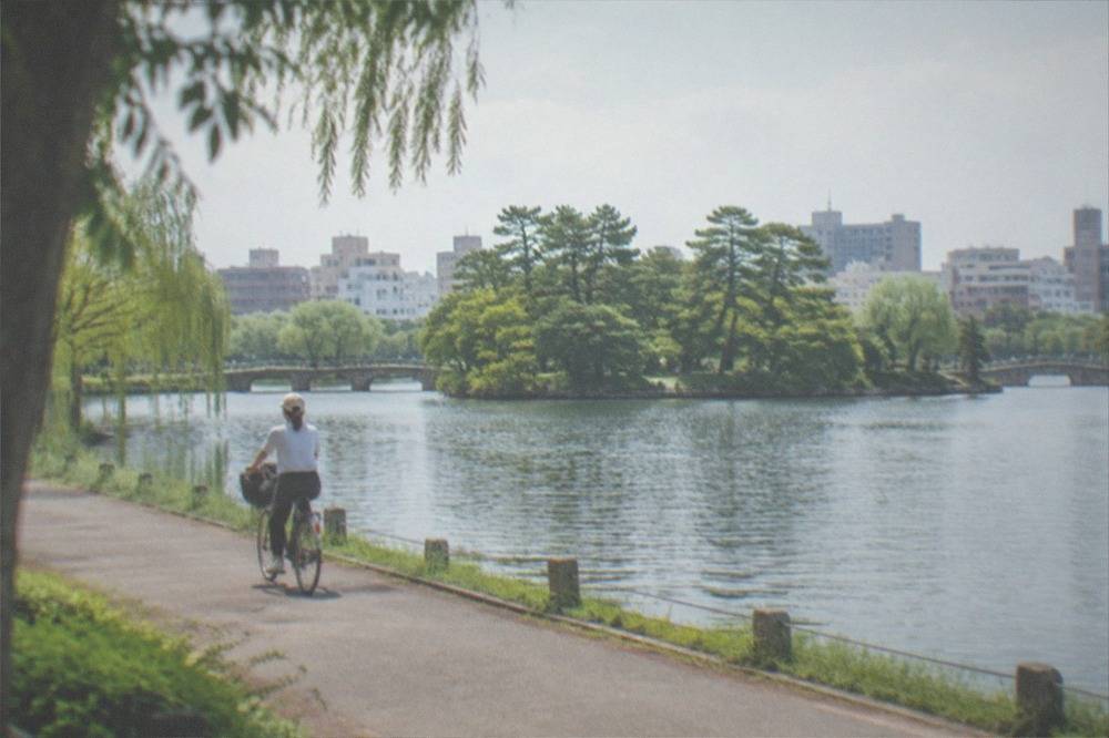 A cyclist on the flat waterside path that circles the pond at Ohori Park in Fukuoka