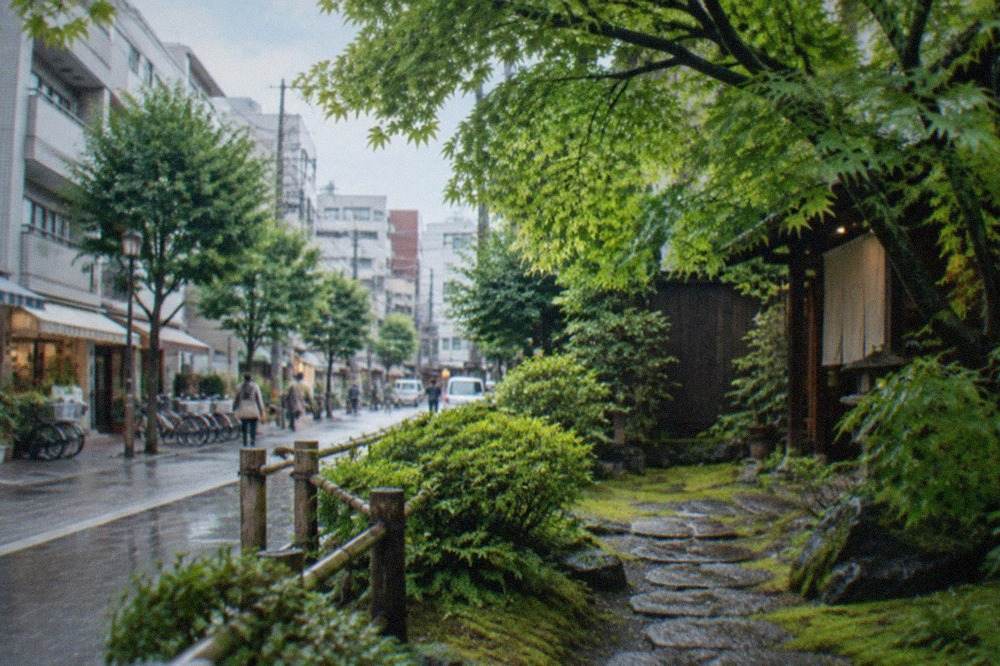 A narrow stone path leading through dense green moss and maple shade in a quiet Japanese garden
