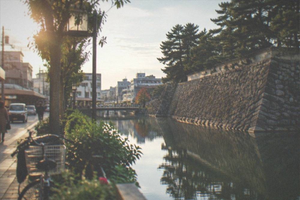 Weathered stone castle walls rising above a moat with pine trees reflected in still water