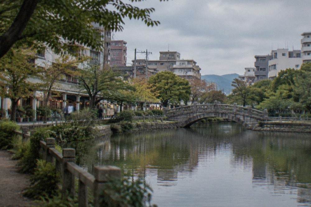 A pond surrounded by trees with a stone bridge and a walking path