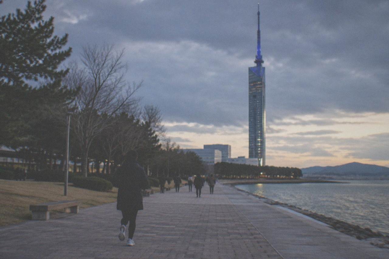 Fukuoka Tower lit up against a dark winter evening sky above Momochi seaside