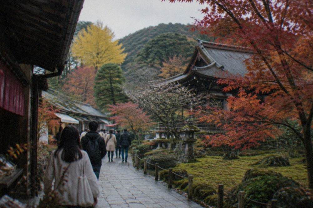 Maple trees with red and orange leaves over a moss garden at a temple in Dazaifu