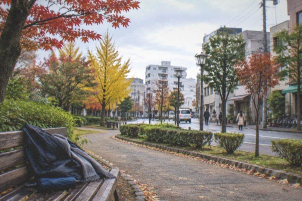 A traveller's jacket, scarf and compact umbrella folded on a bench beside a park path