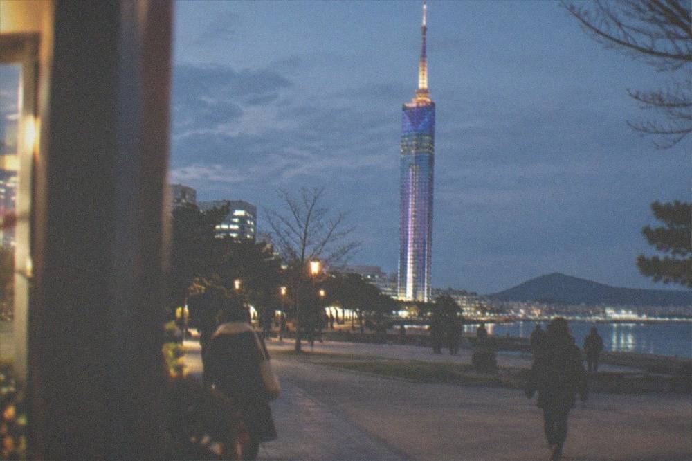 Fukuoka Tower at night in December with its exterior illuminated in a festive pattern over the Momochi waterfront