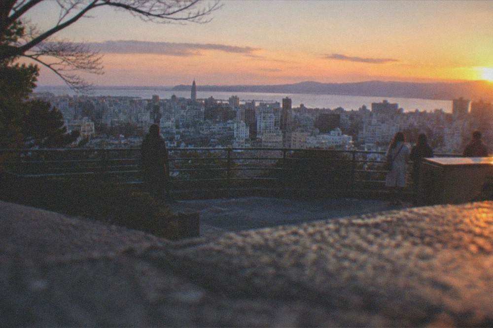 City skyline and bay seen from a high observation deck at dusk in winter