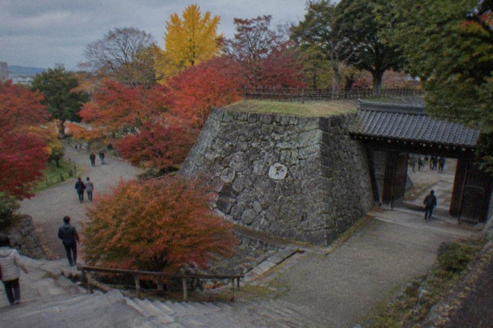 Stone walls of Fukuoka Castle ruins with maple trees in autumn colour