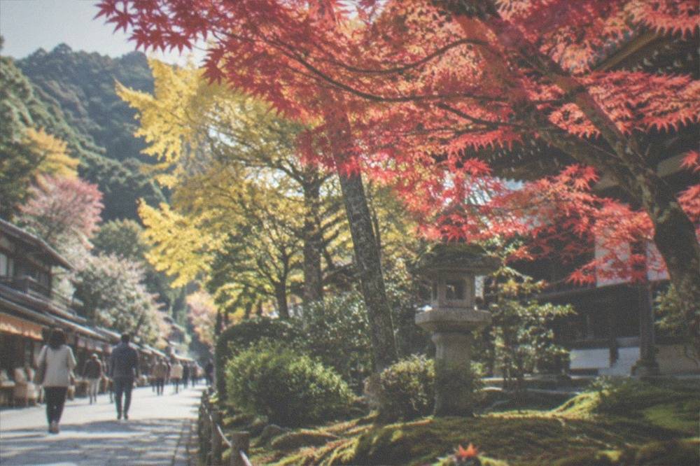 Red maple leaves over a moss garden at a temple in Dazaifu
