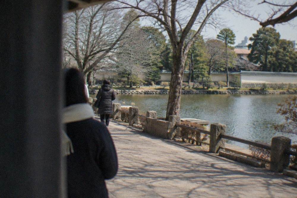 Bare winter trees along a pond in a Japanese park with a traditional garden wall behind them