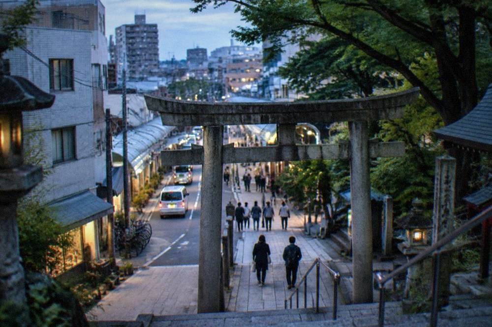 A large torii gate and stone steps leading to a shrine entrance among trees