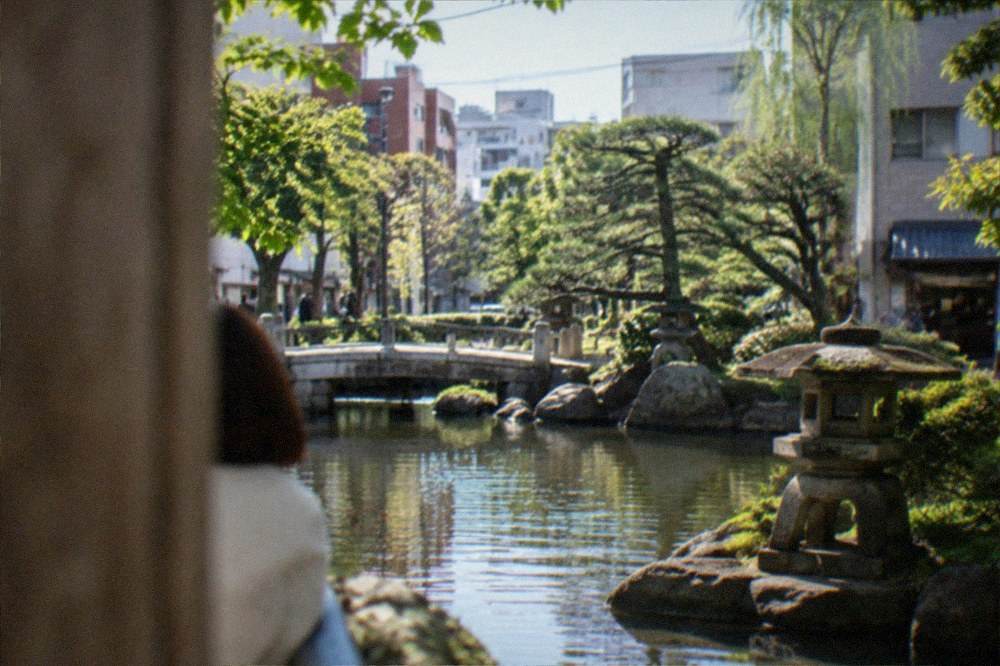 A traditional Japanese garden pond with stone lanterns and pine trees