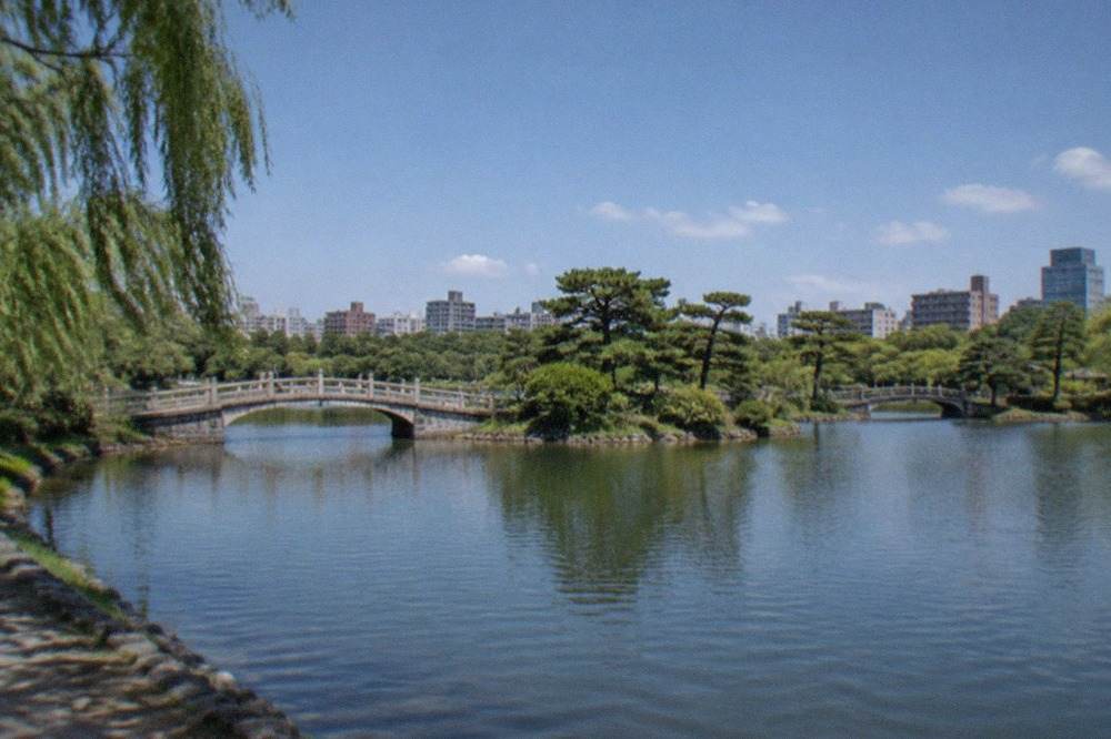 A calm park lake at dusk with a stone bridge and city skyline beyond