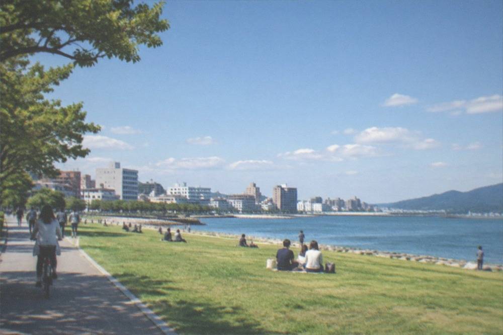 A wide green park lawn running along a calm blue bay