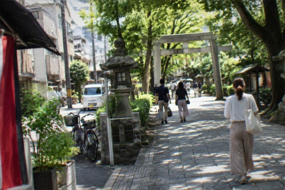 Wooded approach path to a shrine with stone lanterns and visitors walking