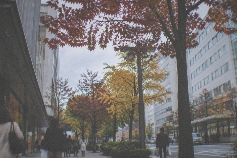 Tree-lined shopping street with autumn foliage overhead and pedestrians carrying shopping bags