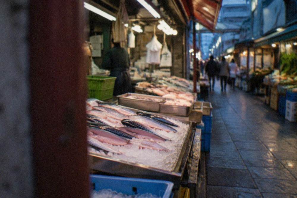 Fresh mackerel fillets on ice at a fish market stall