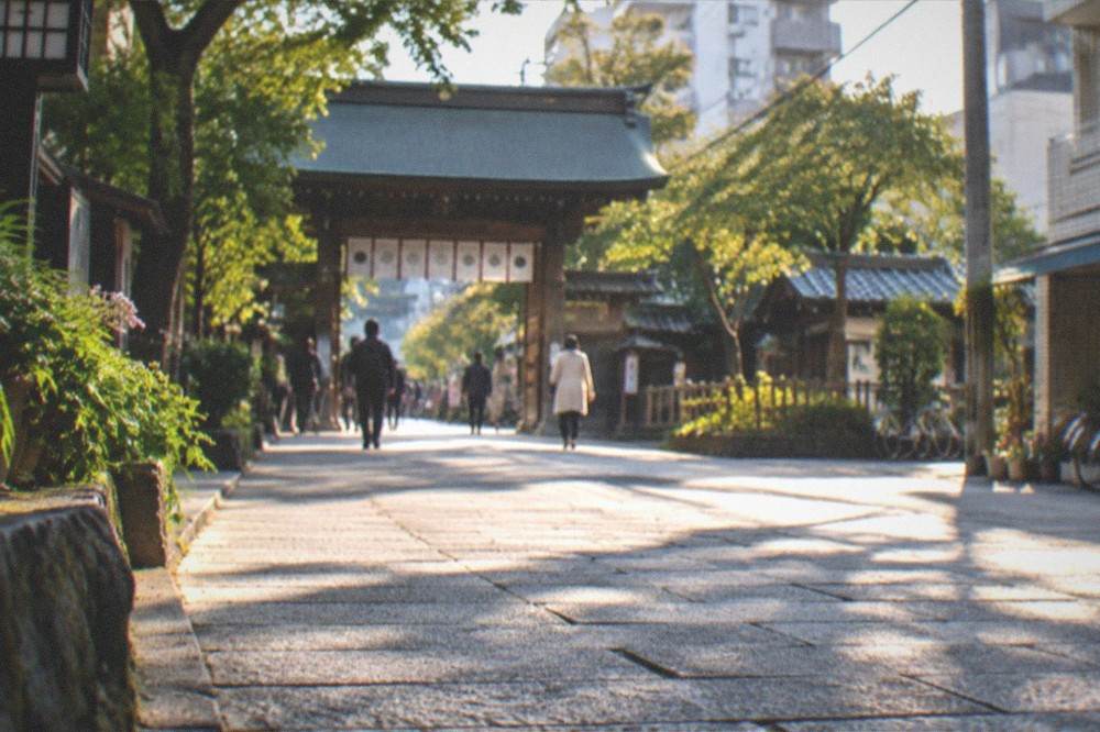 A wide stone path through a park leading to a traditional wooden shrine gate in Fukuoka