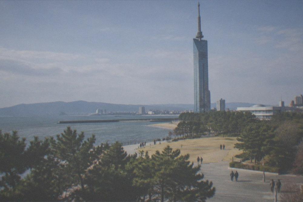 Fukuoka Tower standing lit up against a night sky above the Momochi waterfront