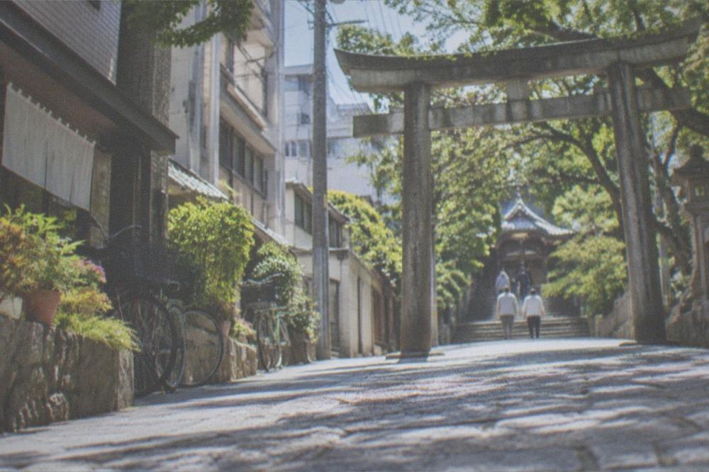 A stone approach path leading to a shrine gate surrounded by trees