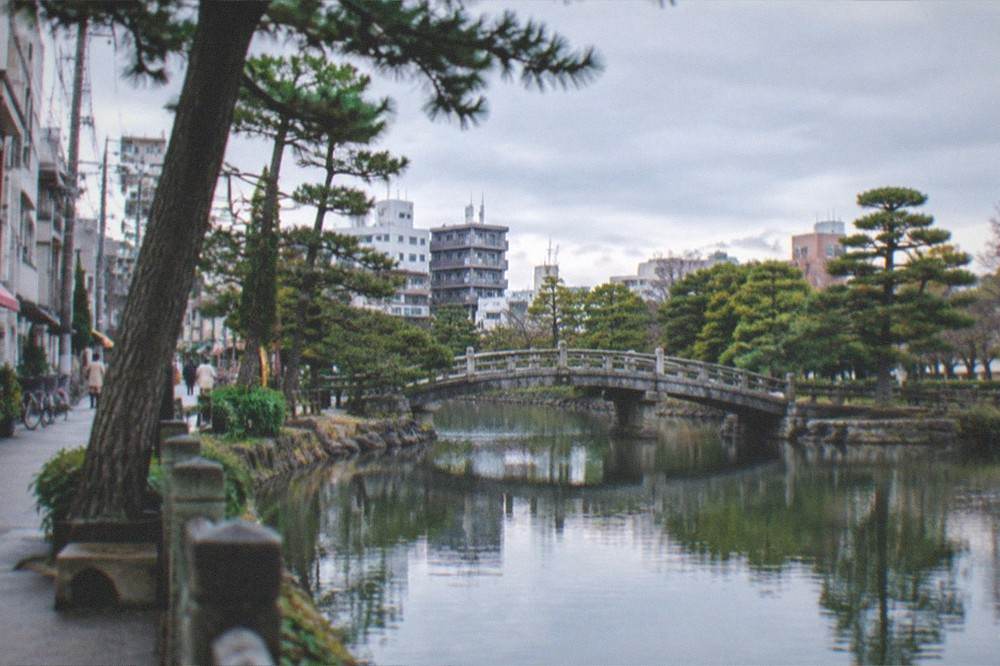 A large pond with a stone bridge and pine trees reflected in still water at a city park