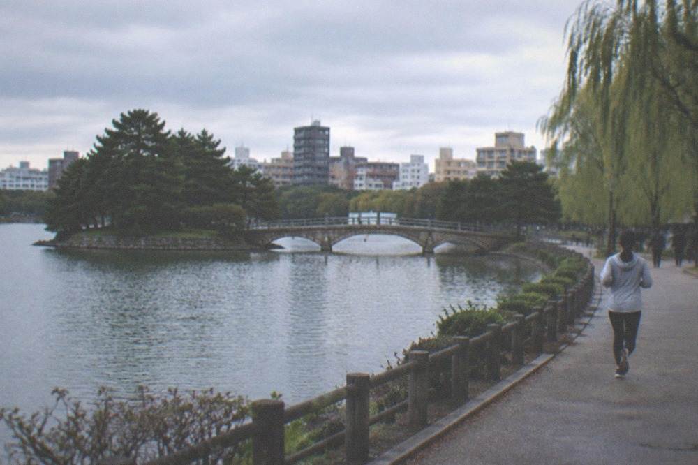 Ohori Park lake with a stone bridge and city skyline behind it