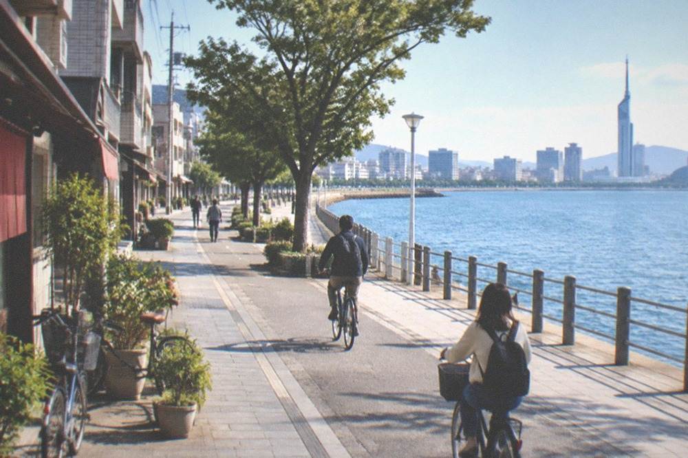 Cyclists riding along a waterfront promenade with the seaside tower visible across the bay