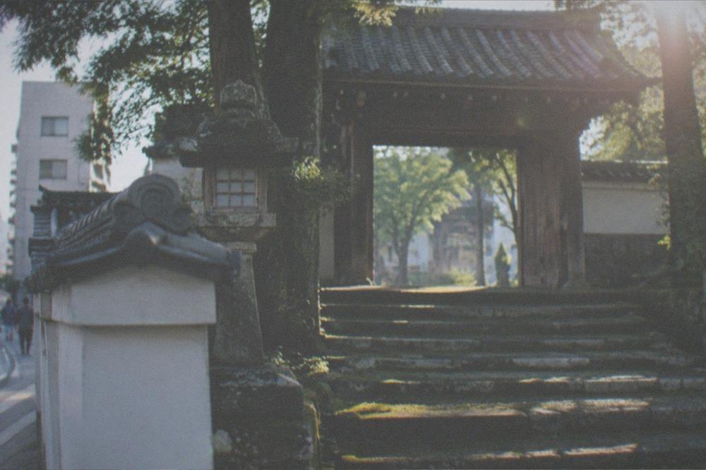 A wooden temple gate framed by tall trees with moss-covered stone steps leading up to it