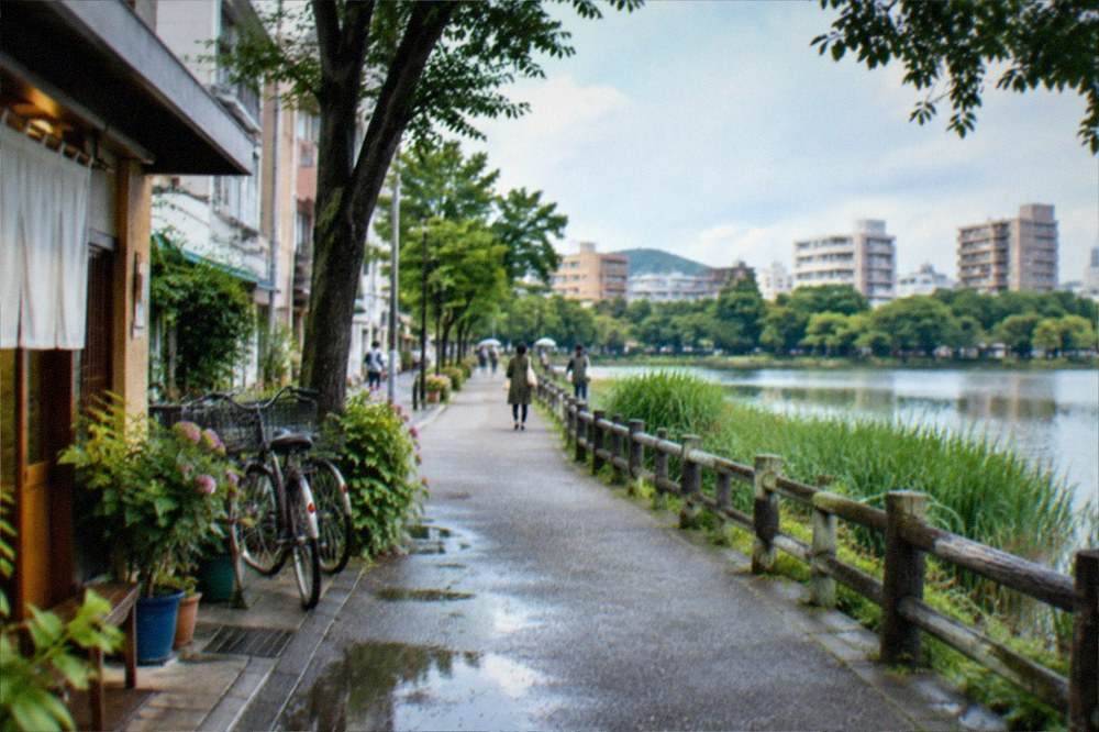 A wide park path curving around a lake with reeds along the shore and tall trees in the background