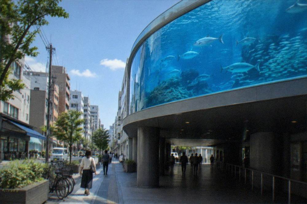 A large aquarium gallery with a curved blue tank of fish above a dim walkway.