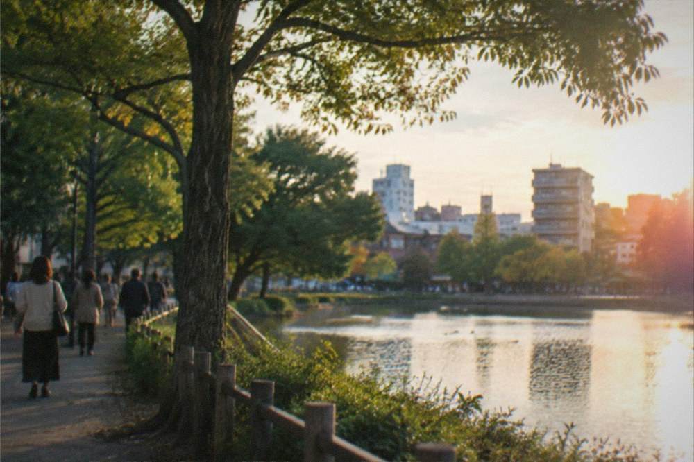 A tree-lined walking path beside a large pond in a Fukuoka park
