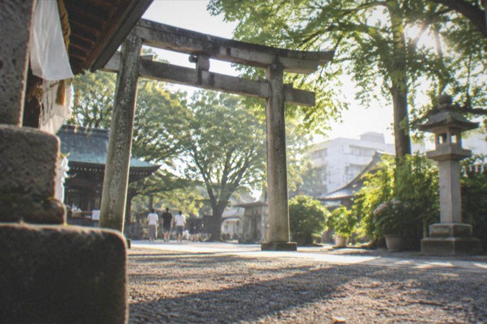 Quiet shrine courtyard in morning light after the festival crowds have gone