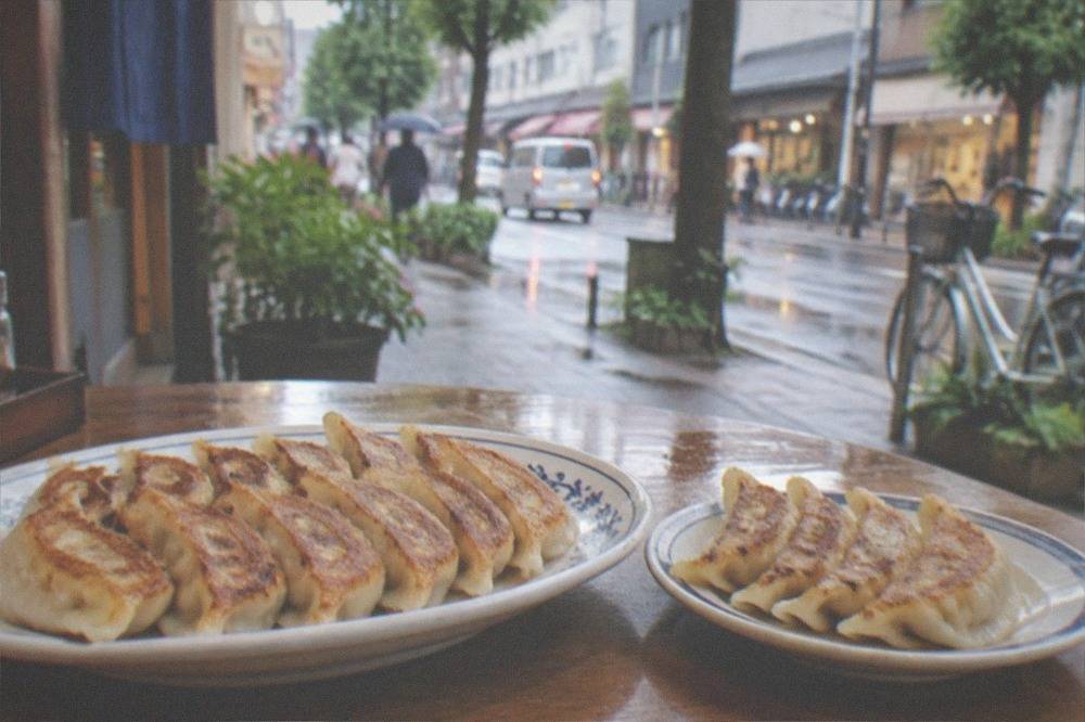 Two plates of dumplings of different sizes side by side on a wooden table