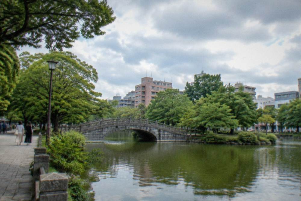 A park pond ringed by trees under an overcast summer sky with a stone bridge