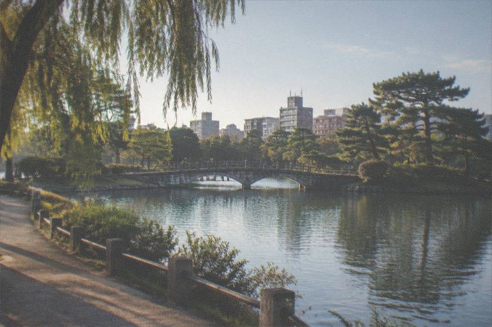 A calm pond surrounded by trees and a stone bridge in Ohori Park in the early morning