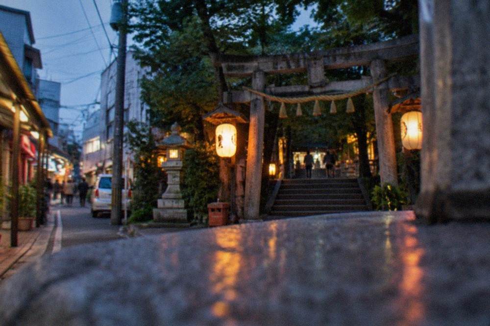 Lantern-lit entrance gate of a Shinto shrine with stone steps and trees in Hakata