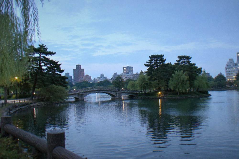Calm pond at Ohori Park with the arched bridge and treed shoreline in morning light