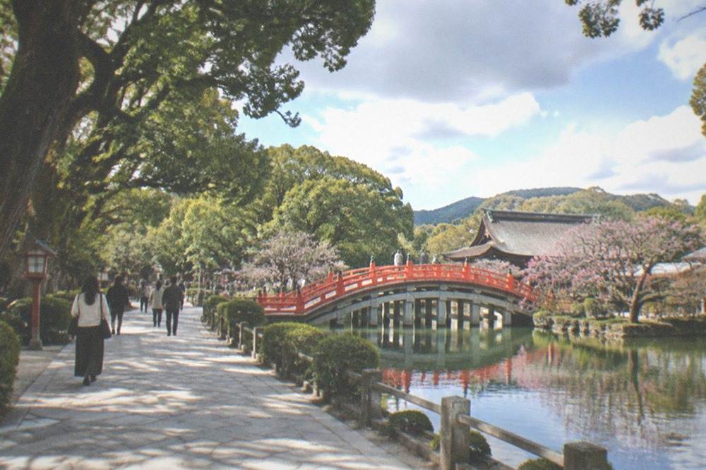 Dazaifu Tenmangu's pond bridge and treelined approach on a bright morning