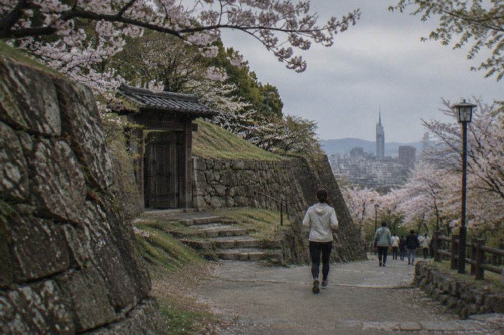 Cherry blossom branches framing a view over a city skyline with a tall tower in the distance