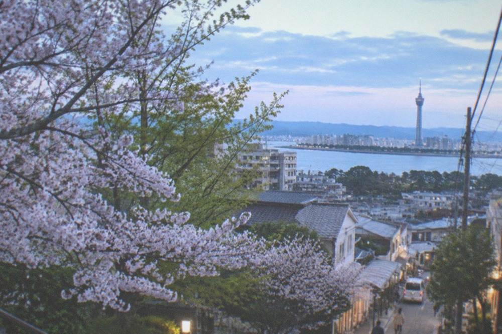 A tall seaside observation tower seen across water with spring trees in the foreground