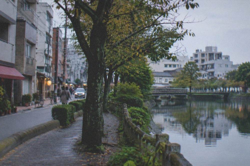 A city park pathway beside water with trees reflected in a pond at dawn