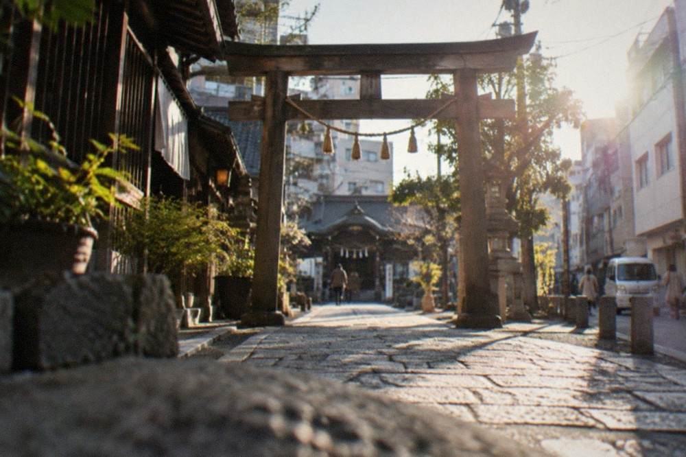 Wooden torii gate and stone path at a Shinto shrine in Hakata under morning light